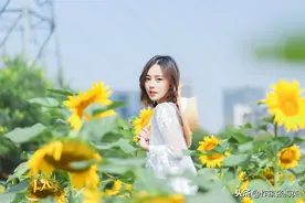 如果我是一首歌图片
