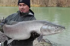 三文鱼是什么鱼？可以生吃吗？图片