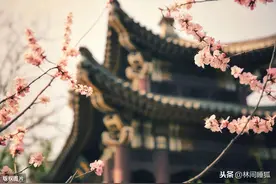 俗语：“宁愿门前闹嚷嚷，不愿屋后脚板响”是什么意思你知道吗？图片