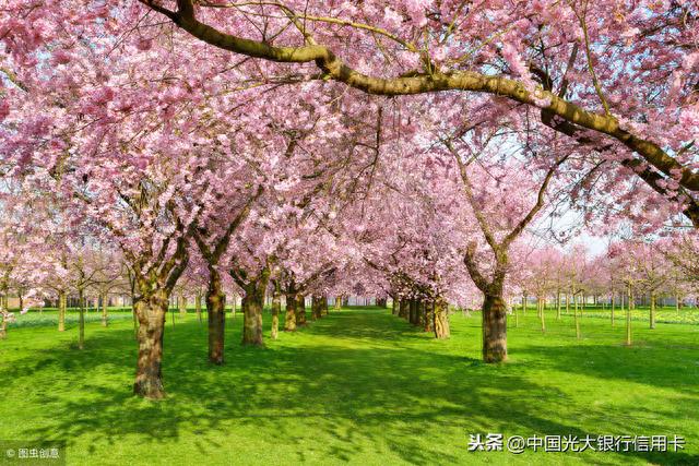 光大银行信用卡地带，光大中青旅联名卡好吗 配图06