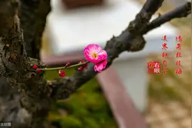 长辈“积四德”，为儿孙“积四福”图片