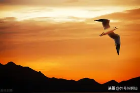 潮汕俗语故事 有人沉船，有人出米图片