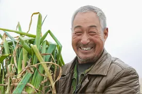 新农保每年200元，以后怎么办？专家：多缴多得，最快3个月回本图片