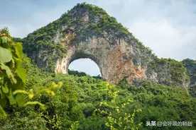 国庆期间：阳朔十里画廊成十里“车”廊，九里花海变九里“耍”海图片