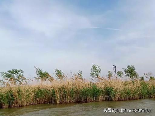 大美不言 | 衡水湖