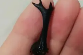 这玩意儿居然也有人盘？！看似很脆，但上手还挺得劲图片