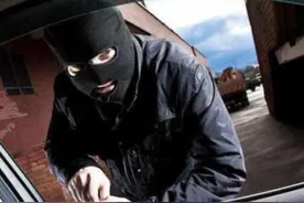 为啥不能把驾驶证和行驶证放车里？交警说完，车主：真不能放车里图片