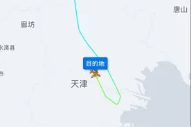 遭鸟击返航的国航航班，刚刚已安全抵达天津图片