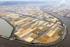 日本农村长什么样子？在无人机镜头下，麦田像平整的地毯图片