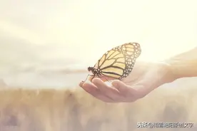 遇见另一个自己「八」图片