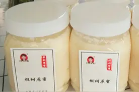 第一书记推荐，椴树蜜香白甜，养蜂人卖得很辛苦图片