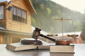 叔叔照顾精神病父亲20年，一听老家的房子要拆迁，美国籍女儿就把叔叔告了图片