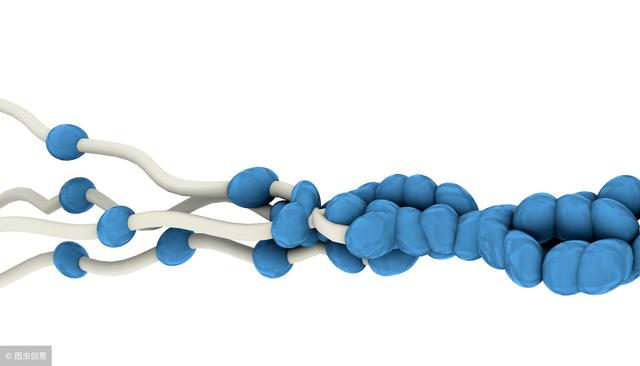 防骨松只补钙？骨科医生：这3种营养素，保骨强骨，骨头硬如石！