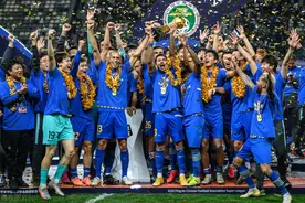 别瞎忙活了，足协已封死退路，四国资收购也无法令江苏队"返生"图片