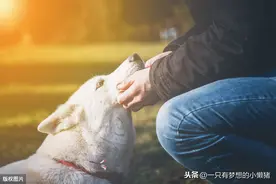 你若敢对别人好到毫无保留，对方就敢对你坏到毫无底线图片