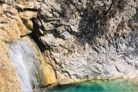 秦岭6亿年的神泉水，养育着珍惜植物图片