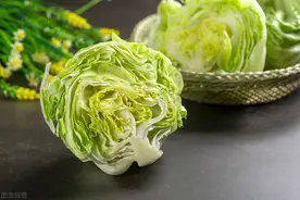 球生菜营养价值低图片