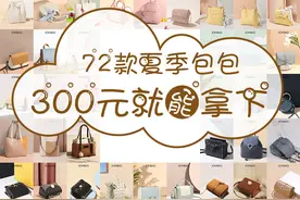 72款高颜值平价小众包包｜每只均价300元图片