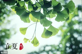 冯巩的经典语录图片