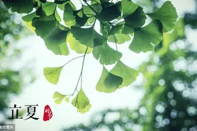 冯巩的经典语录图片