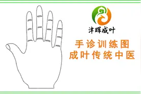 中医手诊-开门篇 手掌中的14条线概要 北京津晖成叶传统中医图片