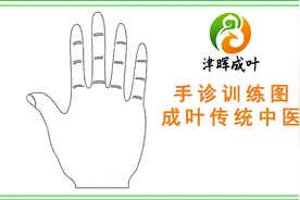 中医手诊-开门篇 手掌中的14条线概要 北京津晖成叶传统中医图片