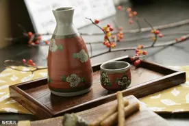 音频+翻译：生活口语天天说（Day271）—怎样选择酒品?图片