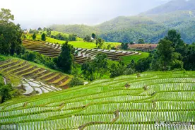 农村土地租赁协议（简易）图片