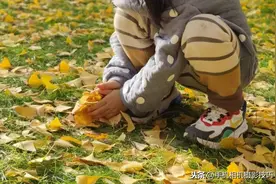 秋天拍照，还在朝天上抛洒树叶？试试这招吧，干净不“吃土”图片