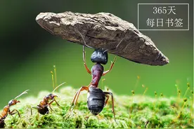 时光书签：365天，用书签陪你存储时光图片