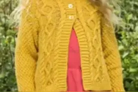 「针织作品」68款儿童秋季开衫和套头衫等，男娃和女娃的都有图片