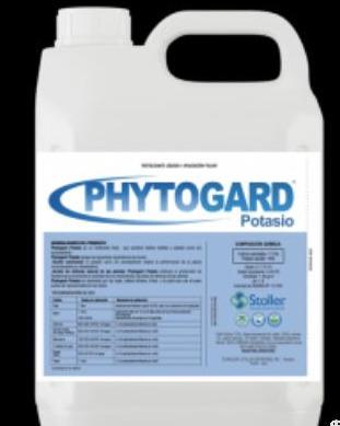 西甜瓜绿色防控—植物诱导免疫及其在西甜瓜防病中的应用