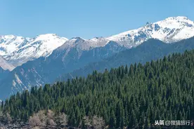 新疆这么大，只有4个地级市，县级市有26个图片