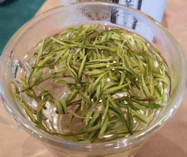 香气嫩香持久，滋味鲜醇甘爽的安吉白茶，一起了解一下