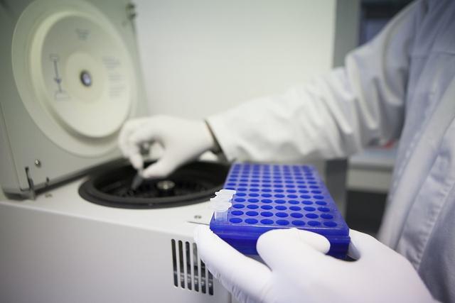 蜂毒化学成分及其作用机理研究进展