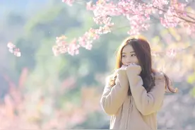 “樱花”用英语怎么说?图片