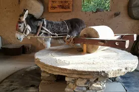 乡土散文：借驴图片