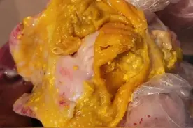 鸡干吃料不长肉，久治不愈，那是你没用对方向，最佳方案看这里！图片