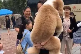 为啥狗狗总爱拆家？原因大多离不开这五点图片