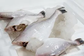 这5种鱼，全身只有一根主骨，小孩老人放心吃，再也不怕鱼刺了图片