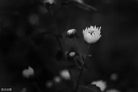 小说：再遇前男友他对我温柔体贴，因他去世妹妹，我不敢求复合图片