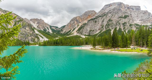 生机盎然的意思（2019年春季部编版八年级语文下册生字注音）