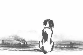 睡一觉，明天醒来依旧晴空万里图片