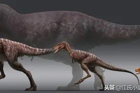 霸王龙一生分为21个阶段，其中两个阶段最为关键图片