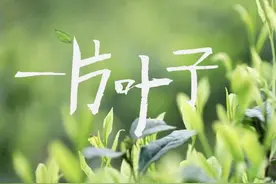 微视频 | 一片叶子图片