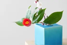 东方禅意美！插花  茶花图片