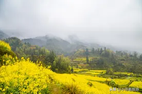 三月到，正是春暖花开时图片