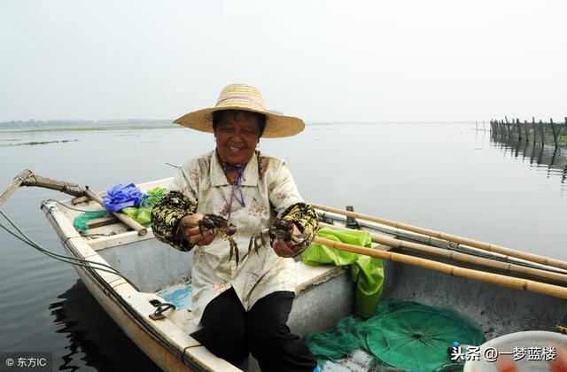閭ｄ簺鍙湁鍦堝唴浜烘墠鐭ラ亾鐨勫皬绉樺瘑锛堢涓€寮癸級