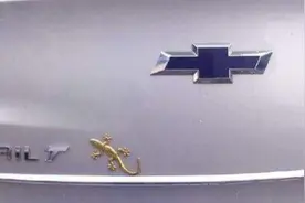 车尾的壁虎是庇护和避祸的意思？专家：没文化真可怕，别再搞笑了图片