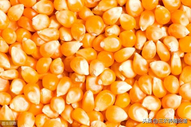 40种常见饲料原料基础知识